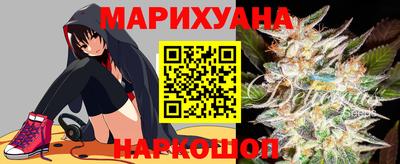 гидропоника Будённовск