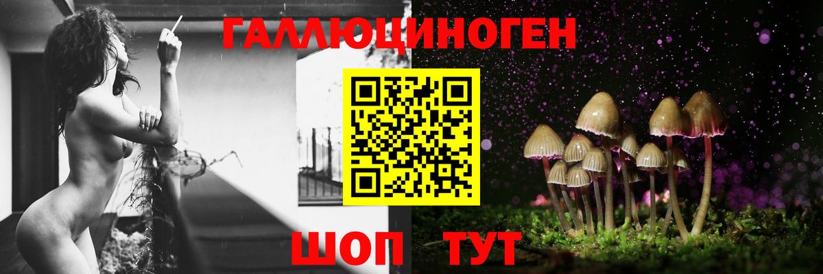 Галлюциногенные грибы мицелий Белебей